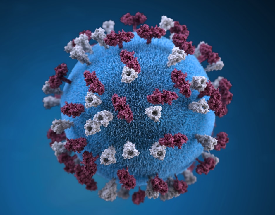 red blue virus